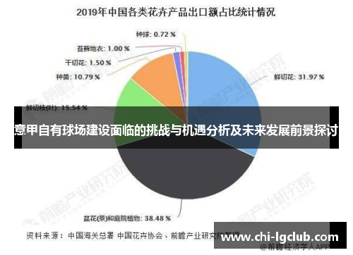 意甲自有球场建设面临的挑战与机遇分析及未来发展前景探讨 意甲自有球场建设面临的挑战与机遇分析及未来发展前景探讨