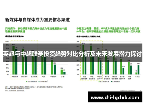 英超与中超联赛投资趋势对比分析及未来发展潜力探讨