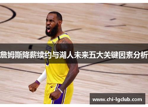 詹姆斯降薪续约与湖人未来五大关键因素分析