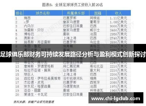 足球俱乐部财务可持续发展路径分析与盈利模式创新探讨