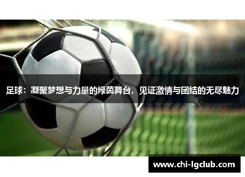 足球：凝聚梦想与力量的绿茵舞台，见证激情与团结的无尽魅力