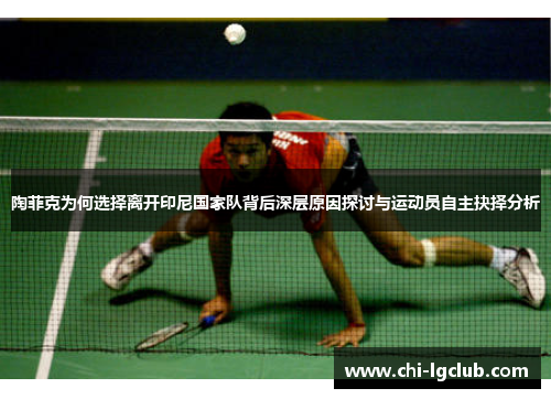 陶菲克为何选择离开印尼国家队背后深层原因探讨与运动员自主抉择分析